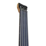 Ibanez EHB1000-AOM Bas Gitar (GigBag Dahil)