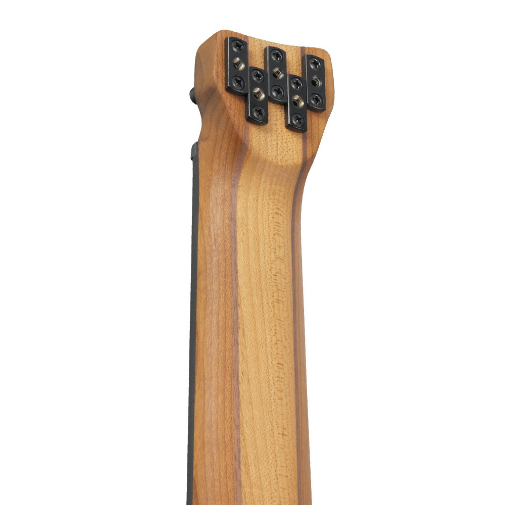Ibanez EHB1000-AOM Bas Gitar (GigBag Dahil)