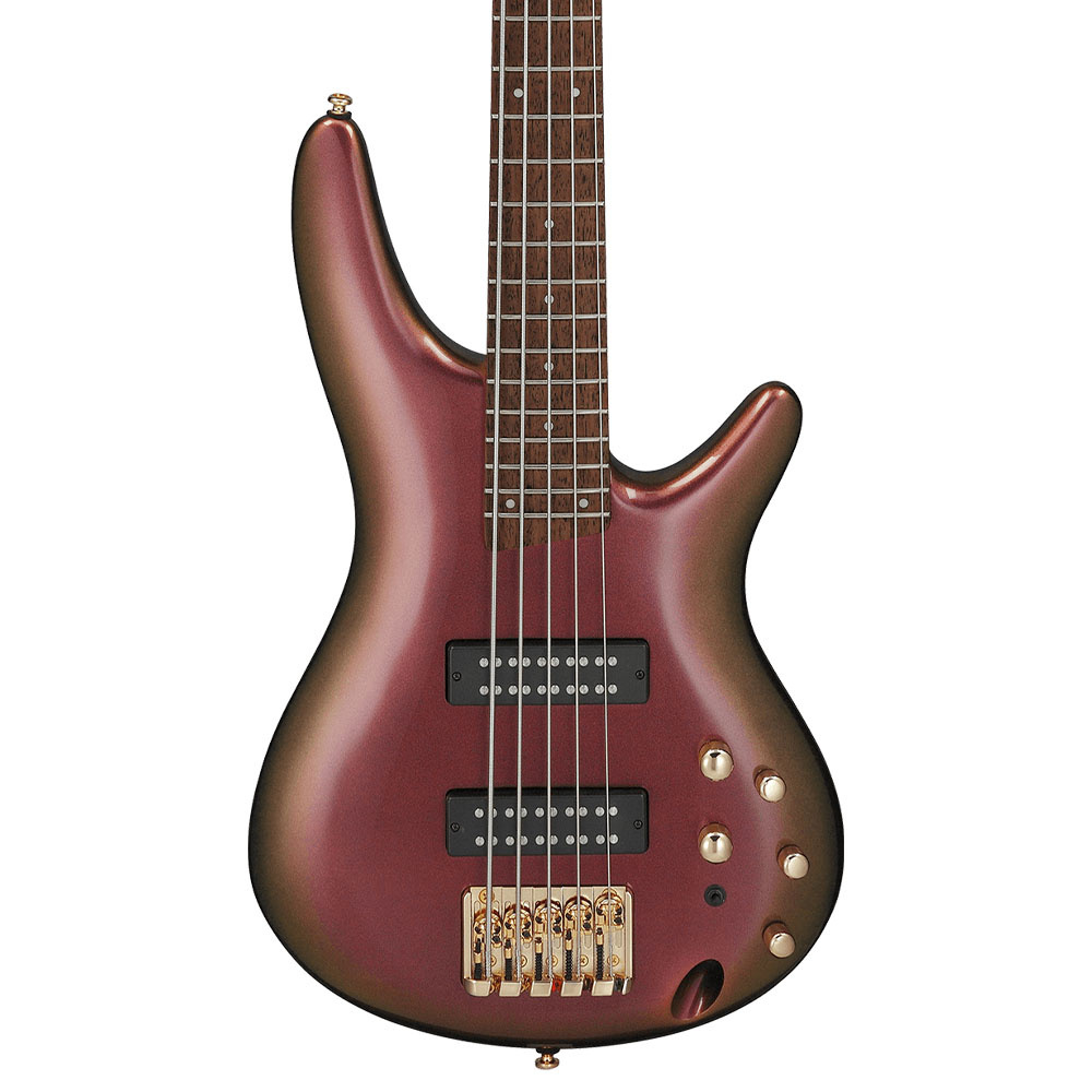 IBANEZ SR305EDX-RGC SR Serisi Bas Gitar