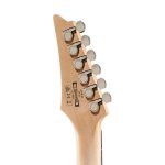 IBANEZ JIVAJR-DSE Signature Serisi Elektro Gitar