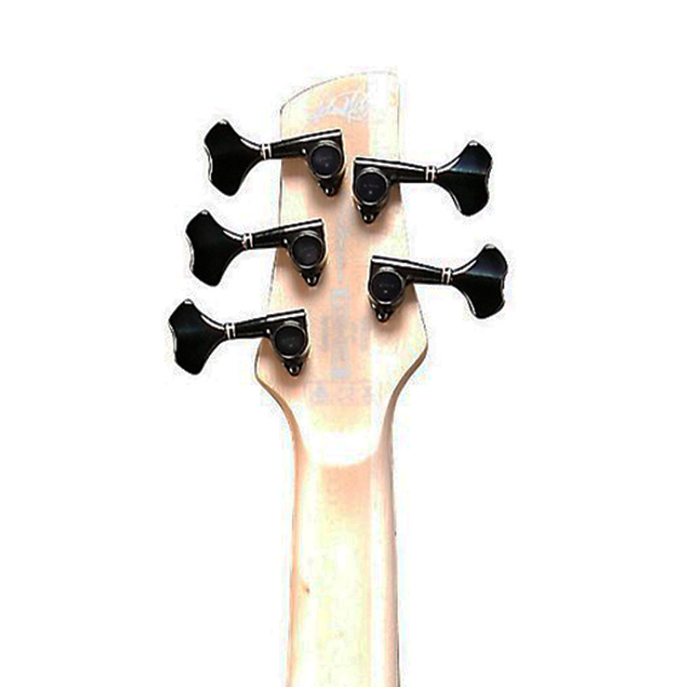 Ibanez ANB205-TWB Adam Nitti Signature Serisi 5 Telli Bas Gitar
