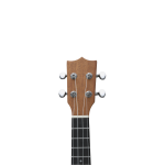 MARTINEZ MRTZ-C1 Maun Concert Ukulele