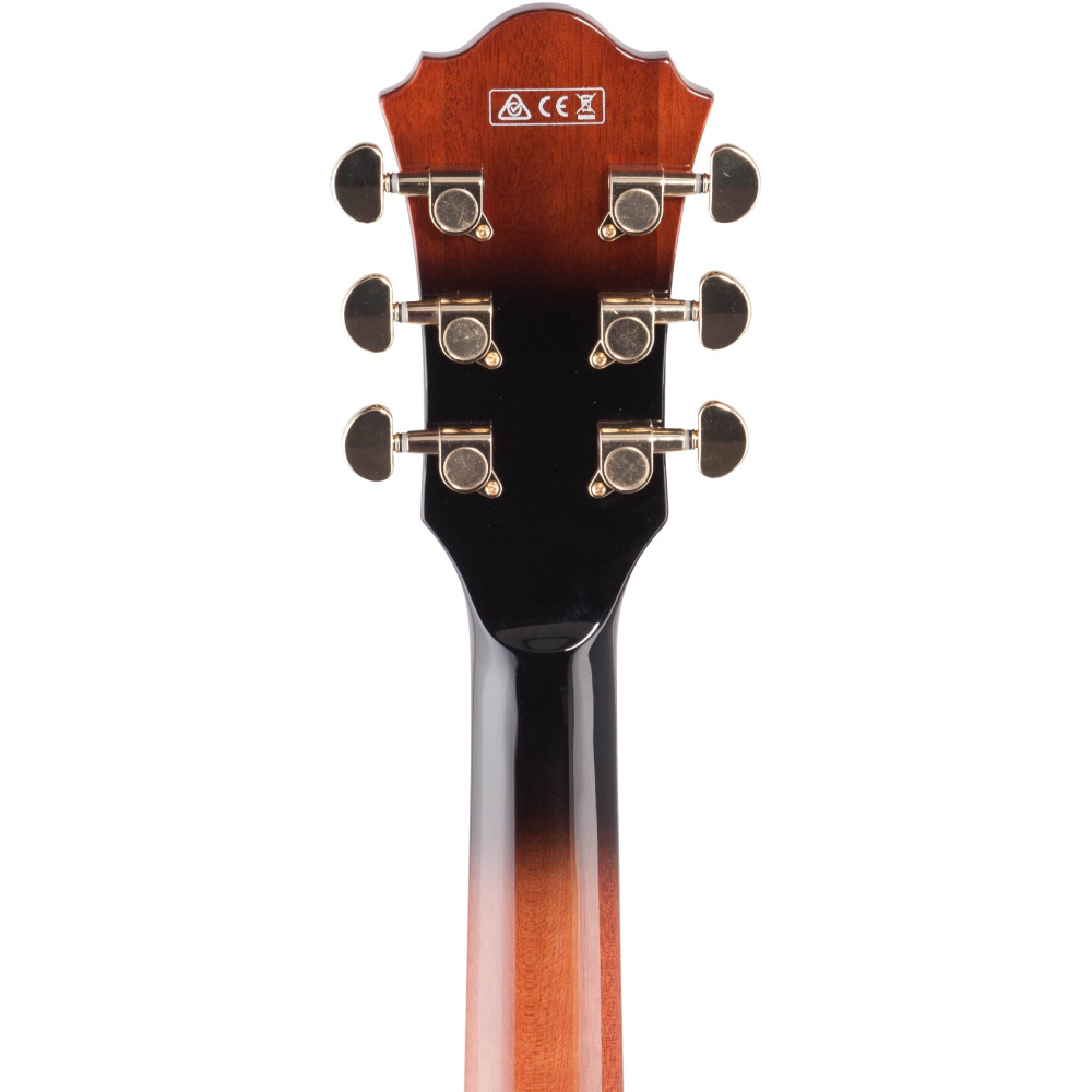 IBANEZ AG95QA-DBS AG Elektro Gitar