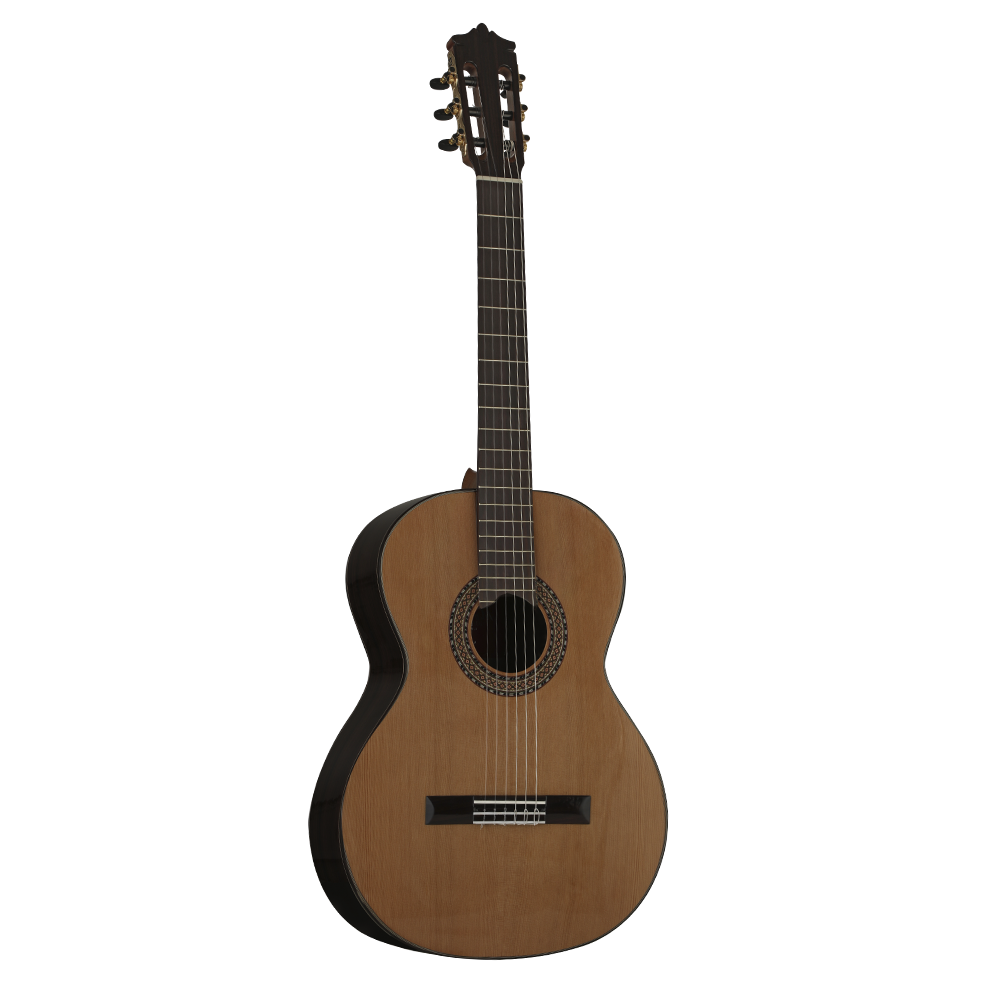 MARTINEZ MC-88C Klasik Gitar