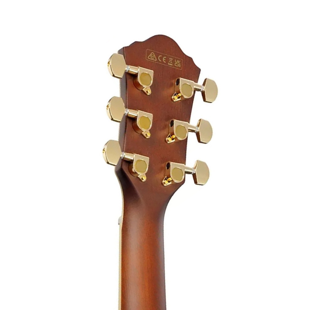 Ibanez AEWC12-PMF Elk.Akustik Gitar