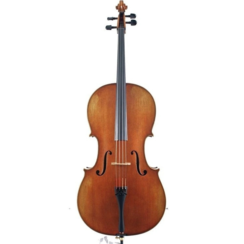 VANETTA WN-19 1/2 Çello