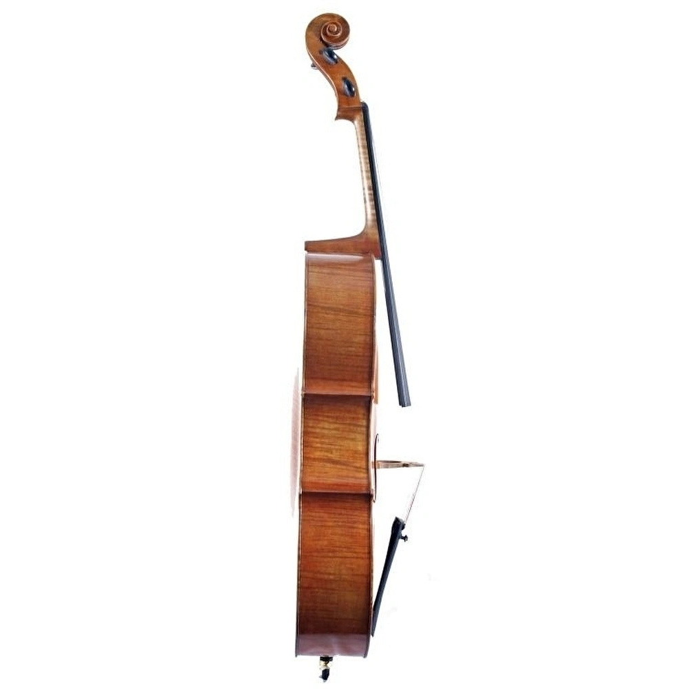 VANETTA WN-19 1/2 Çello