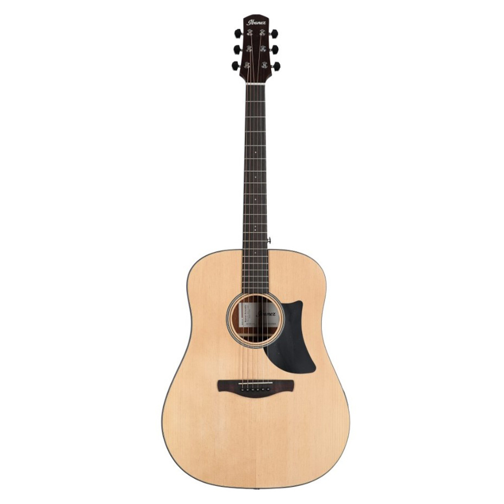IBANEZ AAD50-LG Akustik Gitar