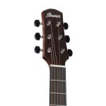IBANEZ AAD50-LG Akustik Gitar