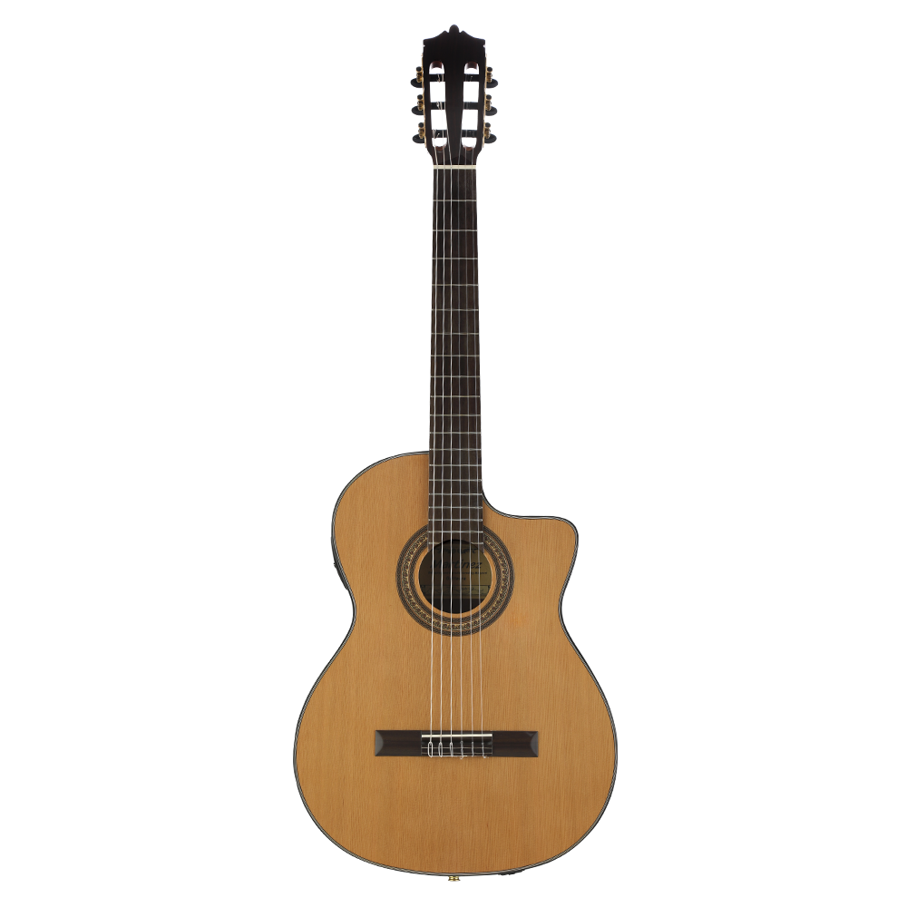 MARTINEZ ETUDE C CE Elektro Klasik Gitar