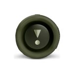JBL Flip 6 Bluetooth Hoparlör Yeşil