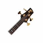 IBANEZ SR1400T VNF Premium Bas Gitar (Case Dahil)