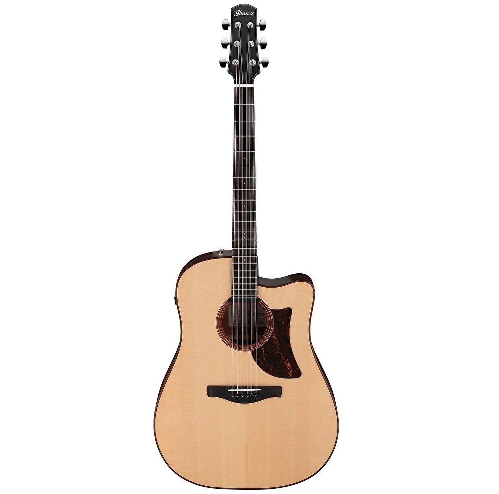 IBANEZ AAD300CE-LGS Elektro Akustik Gitar