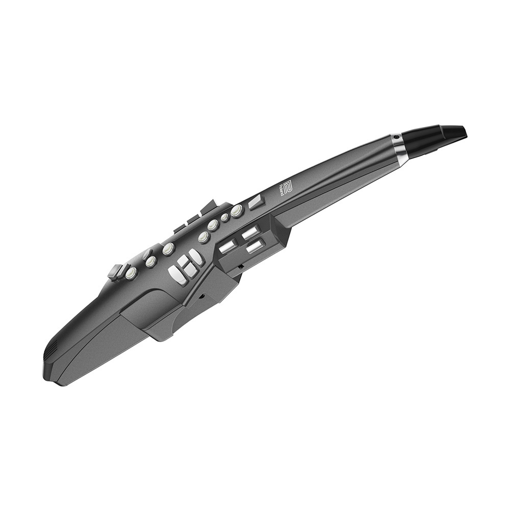 ROLAND AE-10G AEROPHONE Dijital Saksafon