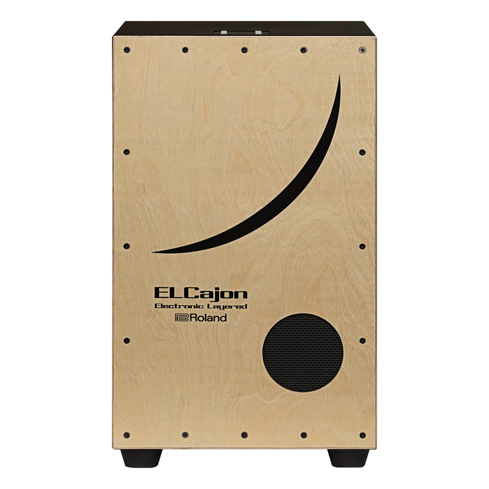 ROLAND EC-10 – El Cajon Elektronik Cajon