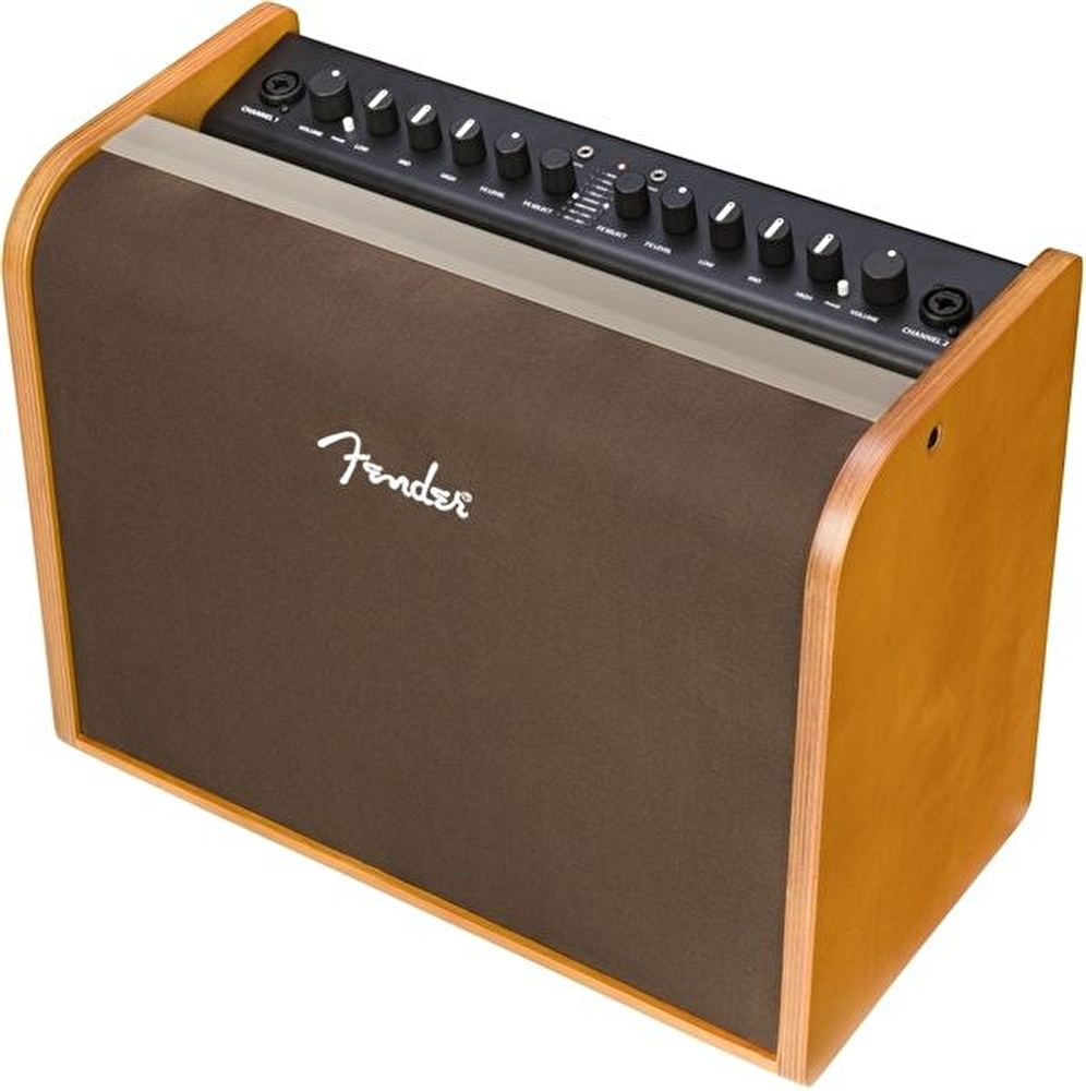 FENDER 100 Combo Akustik Gitar Amfisi