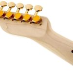 Fender Richie Kotzen Telecaster Akçaağaç Klavye Brown Sunburst Elektro Gitar