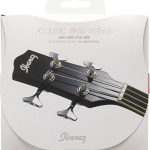 IBANEZ IABS4C GUITAR STRINGS AB
