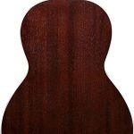 IBANEZ PN19-ONB Akustik Gitar