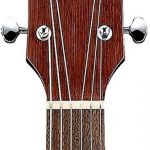 IBANEZ PN19-ONB Akustik Gitar