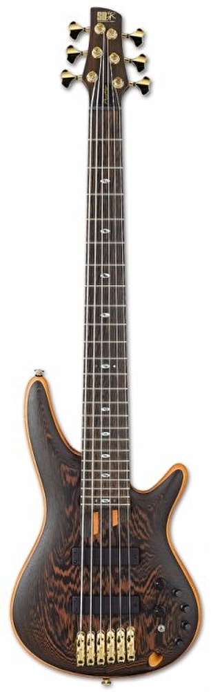 IBANEZ SR5006 OL SR Bas Gitar Case Dahil