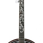 Ibanez B200 Banjo