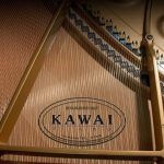 KAWAI GL-30 M/PEP Parlak Siyah 166 CM Kuyruklu Piyano