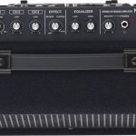 ROLAND KC-220 Klavye Amfisi