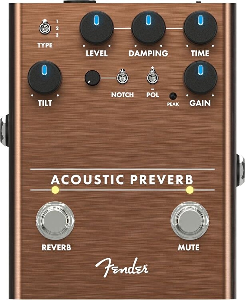 Fender Acoustic Preverb Preamp/Reverb