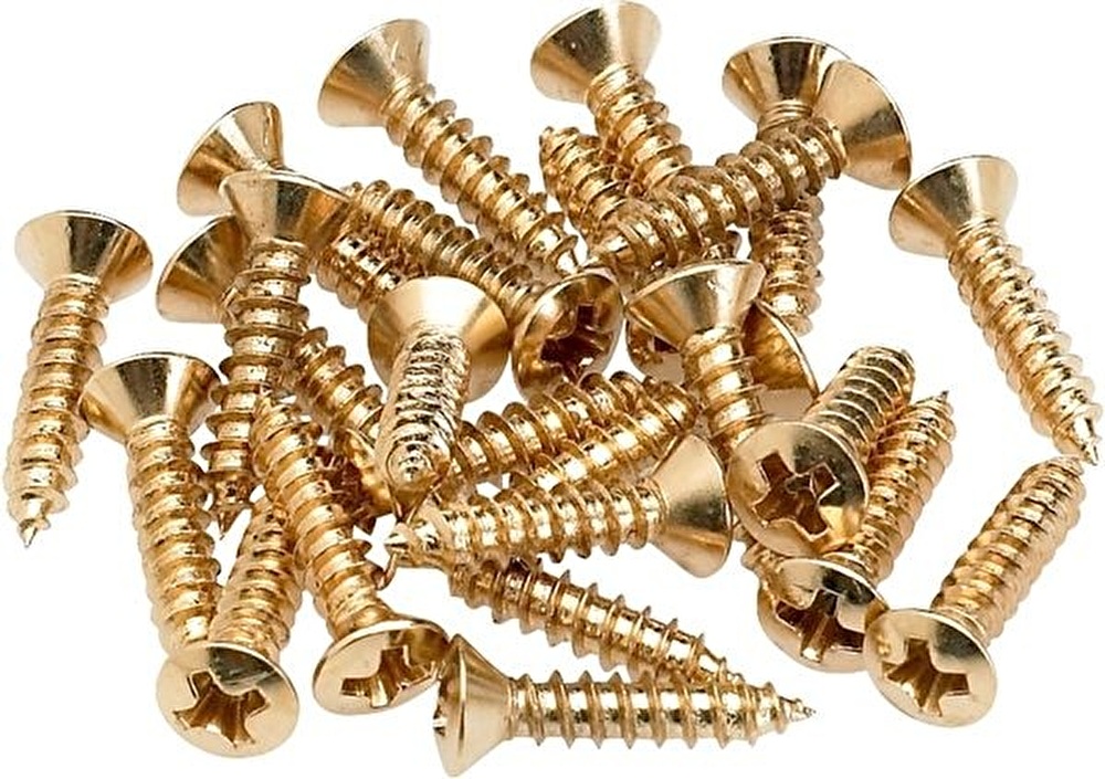 Fender Pickguard Mounting Screws Gold (24)