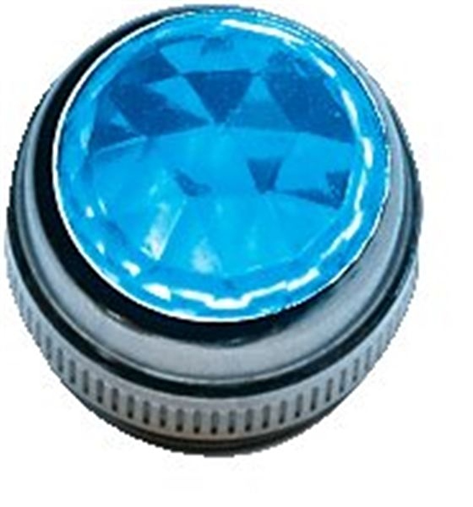 Fender Pure Vintage Blue Amplifier Jewel (1) Amplifier Hardware