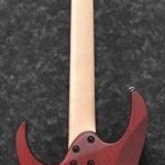IBANEZ RG421PB-CHF RG Serisi Elektro Gitar