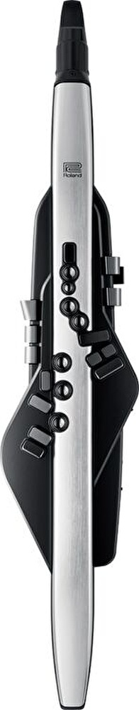 Roland AE-30 Aerophone Pro Dijital Nefesli Enstrüman