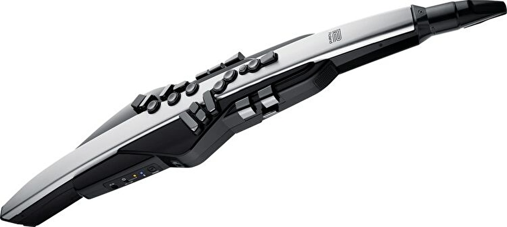 Roland AE-30 Aerophone Pro Dijital Nefesli Enstrüman