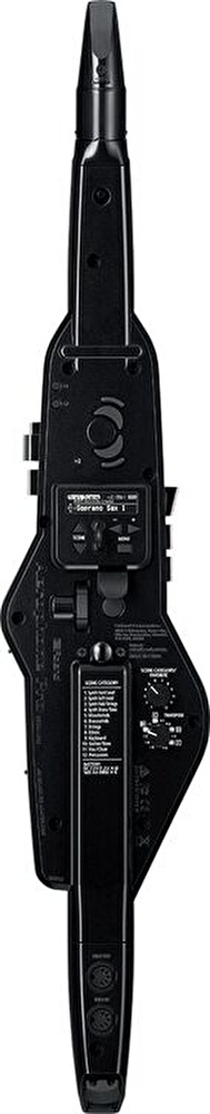 Roland AE-30 Aerophone Pro Dijital Nefesli Enstrüman