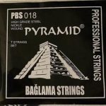 KISA SAP BAĞLAMA TELİ SET